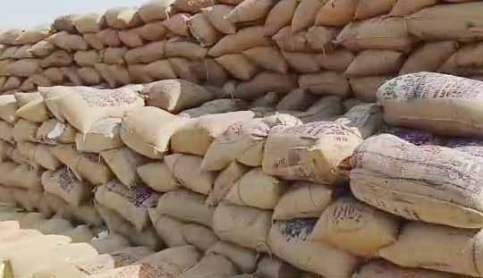 कवर्धा धान घोटालाः 7 करोड़ का अनाज, चूहे या सिस्टम खा गया, आखिर क्या क्या है सच?