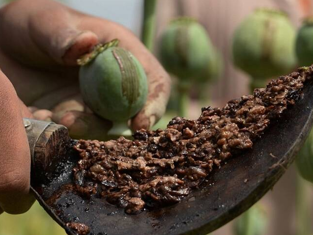 मोटर सायकल पर अफीम के साथ पकड़े गए तीन नाबालिग, पुलिस जुटी जांच में