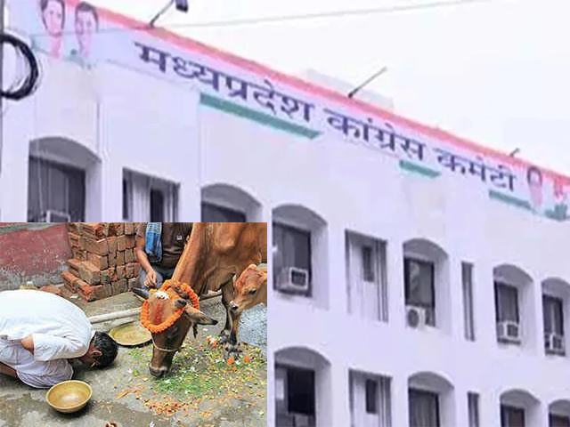 मकर संक्रांति पर कांग्रेस का गौ-पूजन, स्लॉटर हाउस विवाद तेज