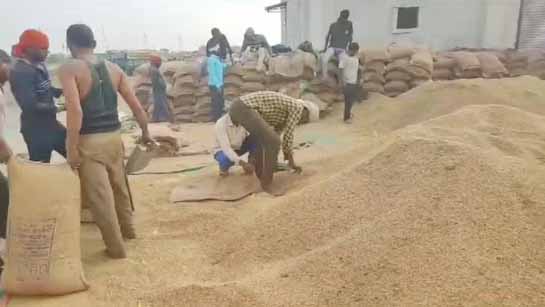 धान घोटाले का पर्दाफाशः 8 करोड़ से ज्यादा की हेराफेरी, राइस मिलर-समिति प्रबंधक समेत 4 गिरफ्तार