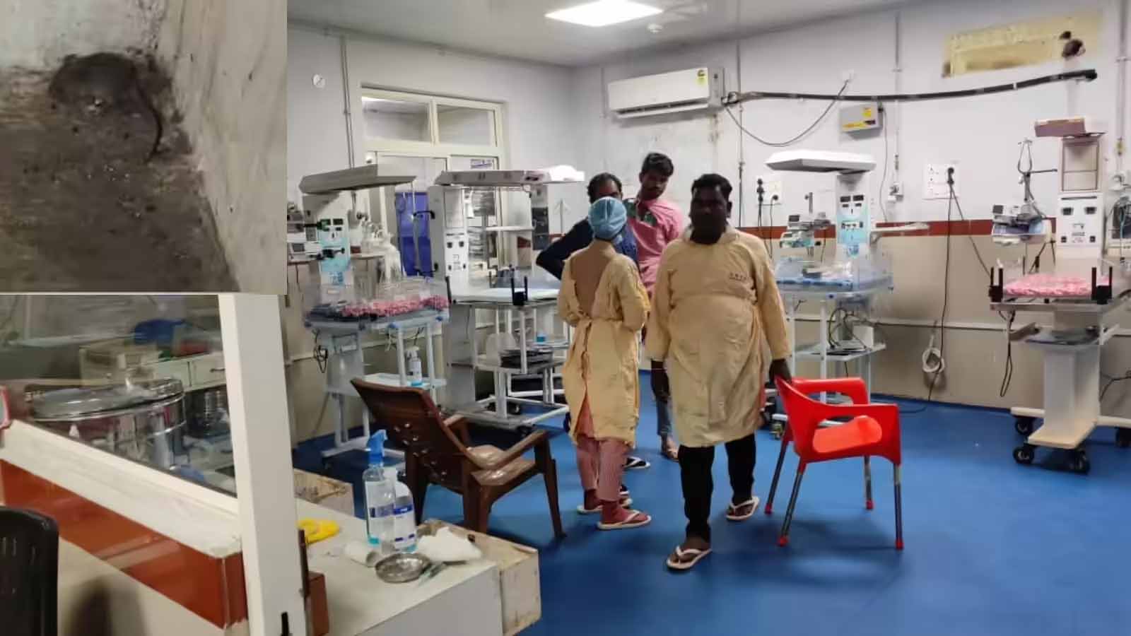 अशोकनगर जिला अस्पताल में चूहों का आतंक, सर्जिकल वार्ड में मरीजों की रातें दहशत में