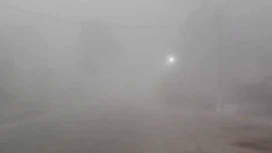 मध्य प्रदेश में बारिश थमी, अब 20 जिलों में घने कोहरे की चेतावनी