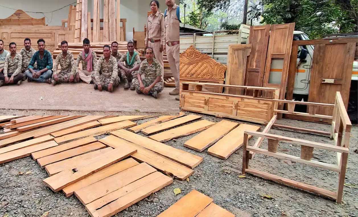 बलौदाबाजार वन विभाग की लकड़ी माफियाओं पर बड़ी कार्रवाई; दो मकानों से अवैध सागौन और फर्नीचर जब्त