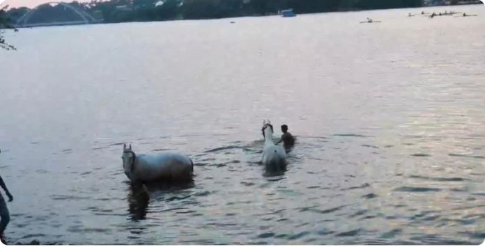 Questions raised regarding the cleanliness of the Chhota Talab in Bhopal