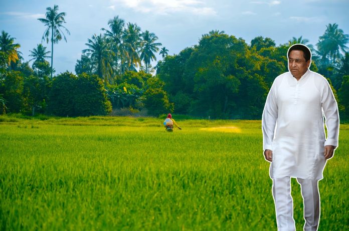 Plot to usurp former CM Kamal Nath's 26-bigha land